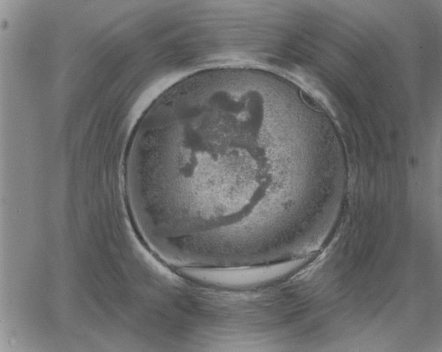 X0000063451239200601271531