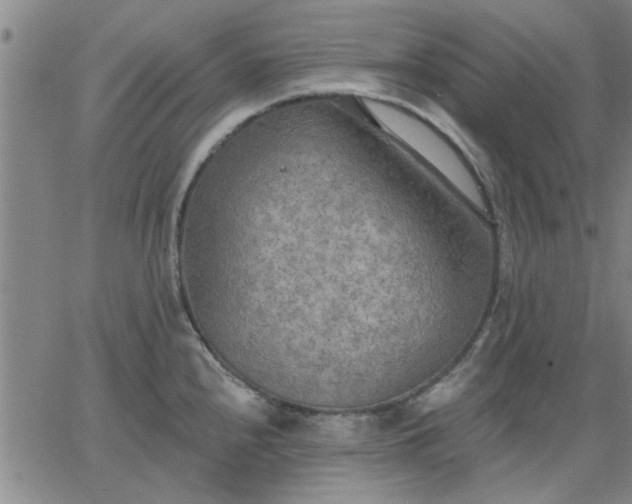 X0000063451240200601271531