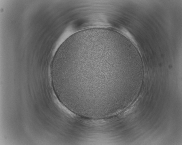 X0000063451243200601271531