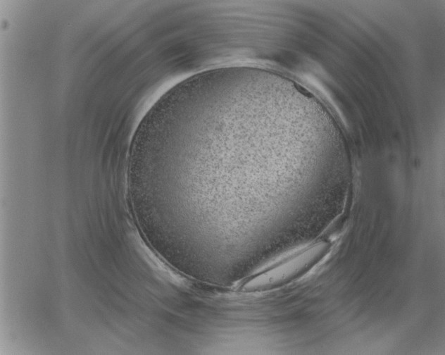 X0000063451244200601271531