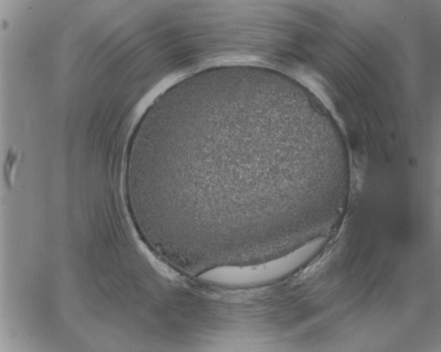 X0000063451245200601271531