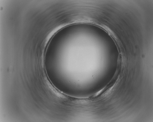 X0000063451246200601271531