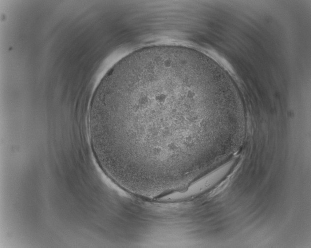 X0000063451247200601271531