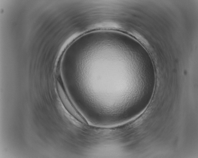 X0000063451248200601271531