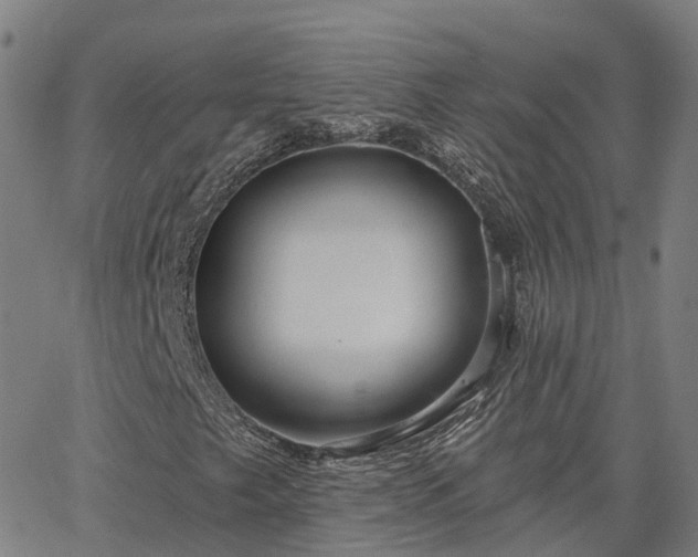 X0000063451249200601271530