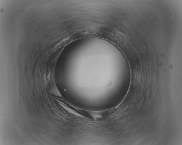 X0000063451250200601271530