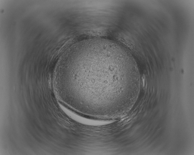 X0000063451251200601271530