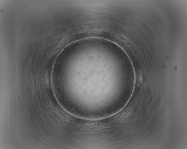 X0000063451252200601271530