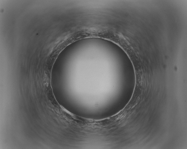 X0000063451253200601271530