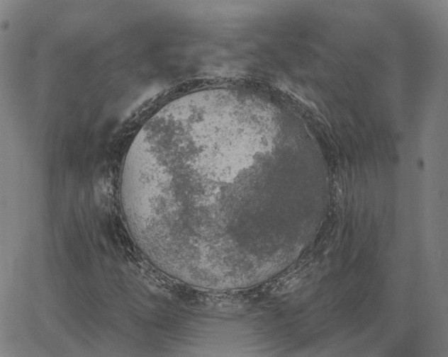 X0000063451254200601271530