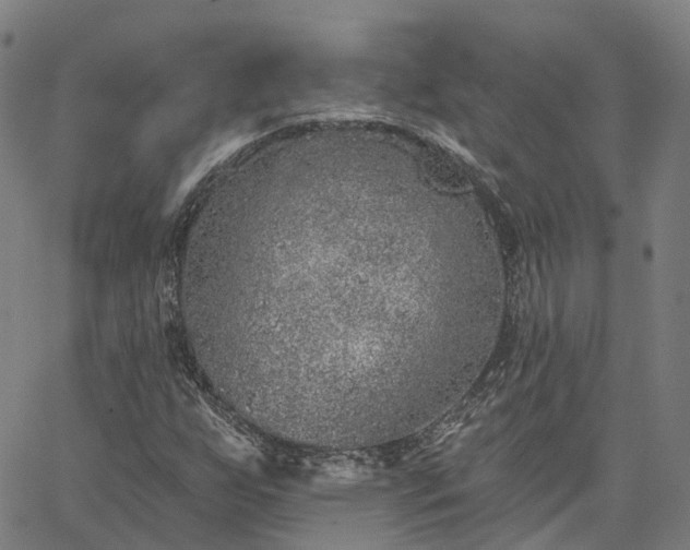 X0000063451255200601271530