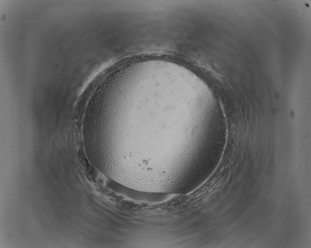 X0000063451256200601271530