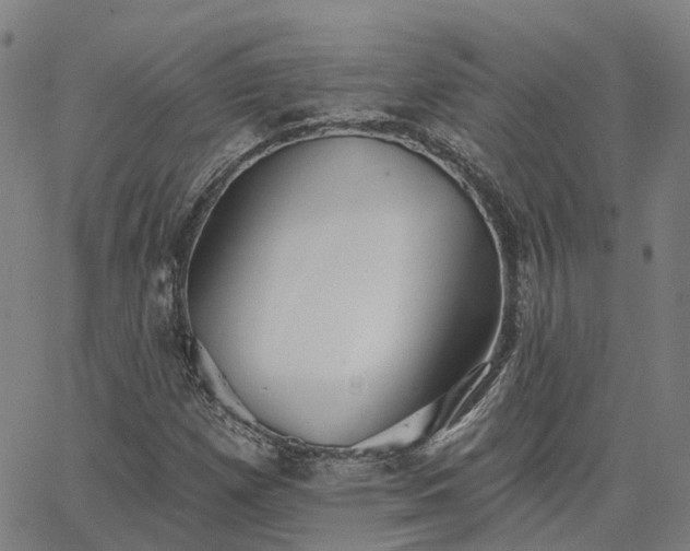 X0000063451257200601271530