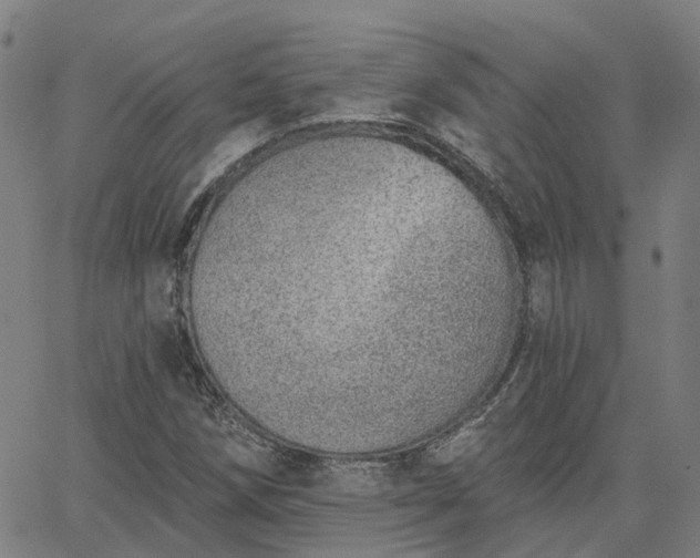 X0000063451258200601271530