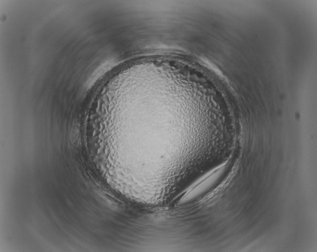 X0000063451259200601271530