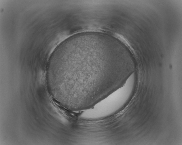 X0000063451260200601271530