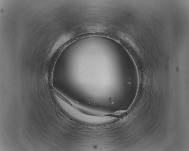 X0000063451261200601271530