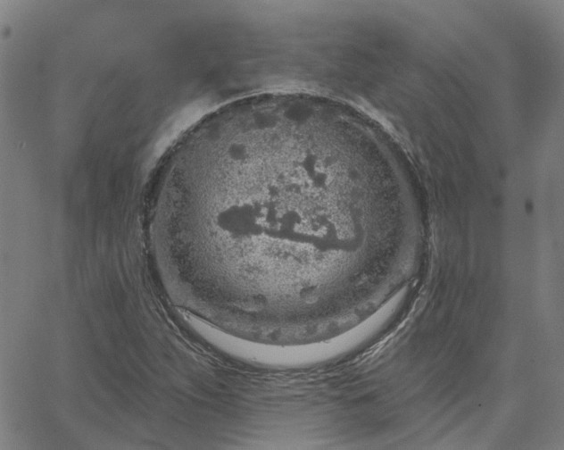 X0000063451263200601271530