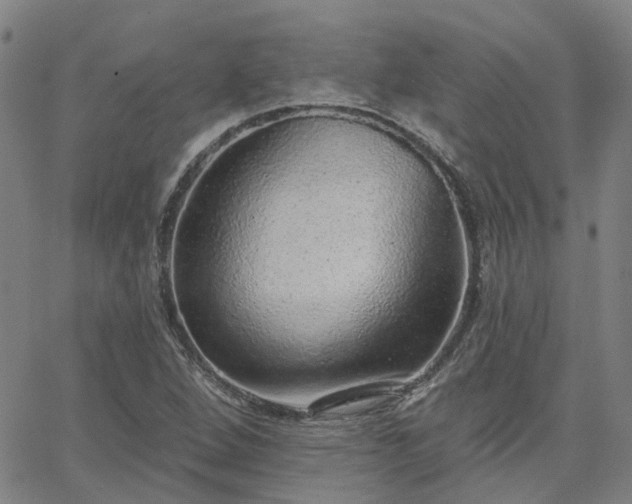 X0000063451264200601271530