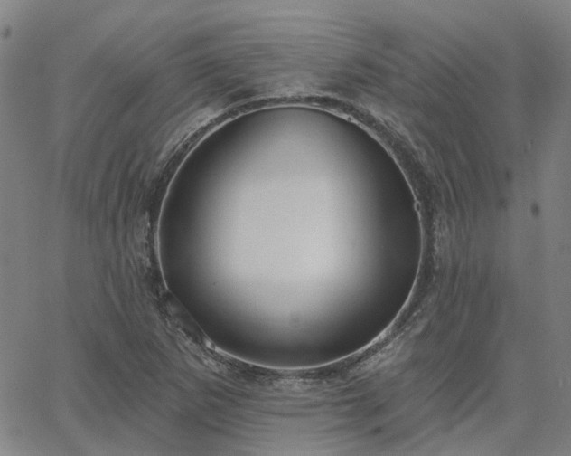 X0000063451265200601271530