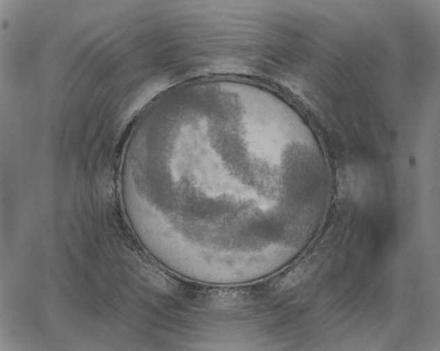 X0000063451266200601271530