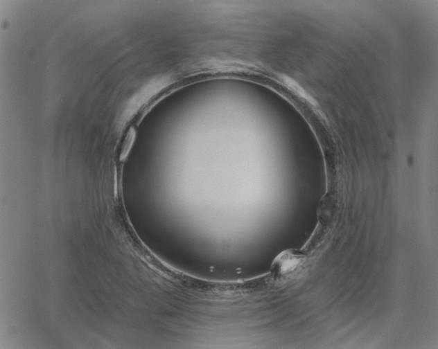 X0000063451269200601271530