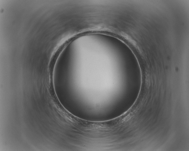 X0000063451270200601271530