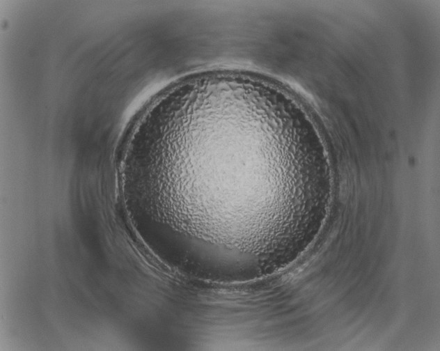 X0000063451271200601271530