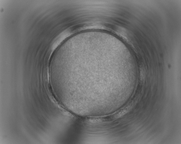 X0000063451274200601271530