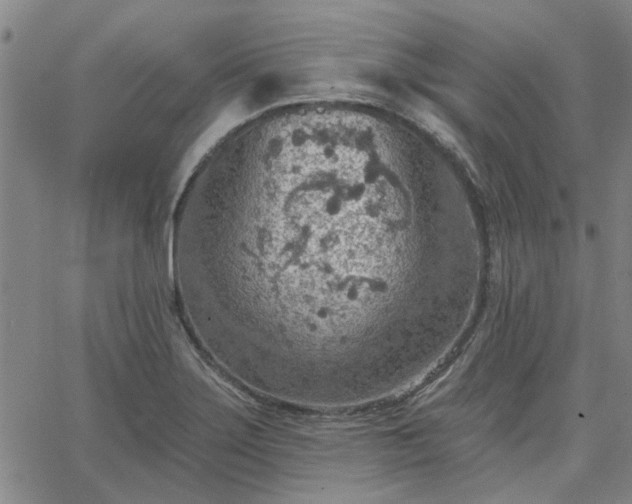 X0000063451275200601271530