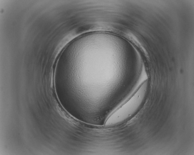 X0000063451276200601271530