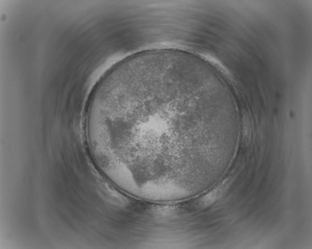 X0000063451278200601271530