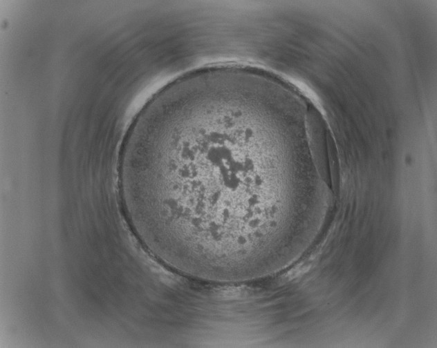 X0000063451279200601271530