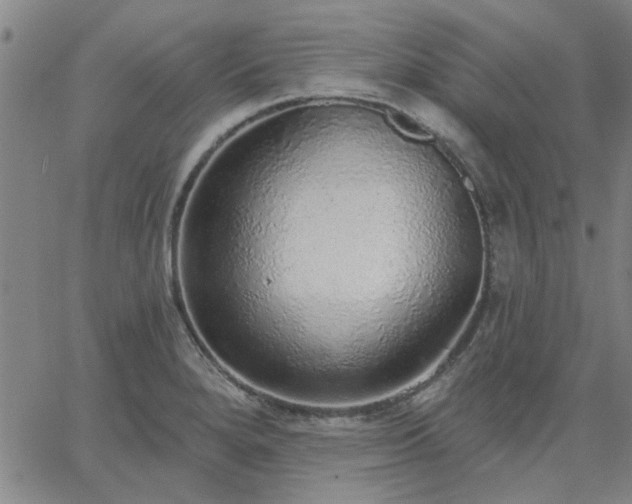 X0000063451280200601271530