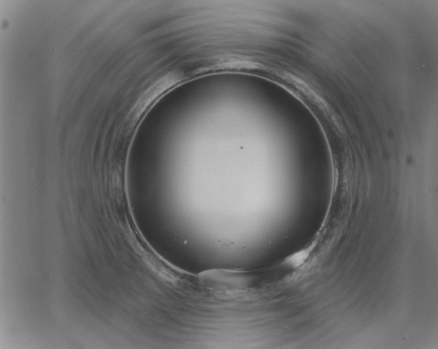 X0000063451281200601271530