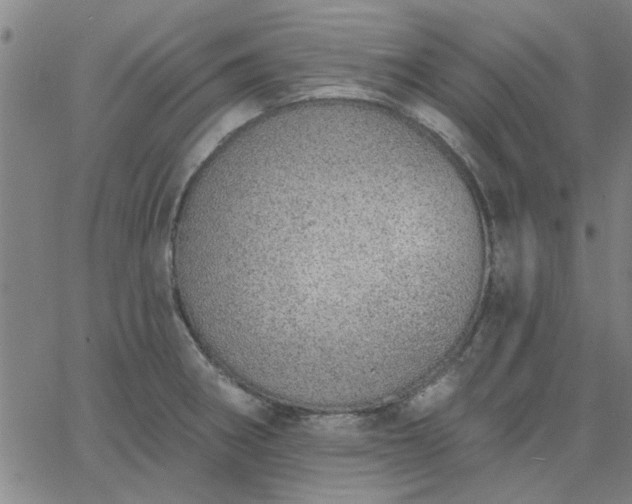 X0000063451282200601271530