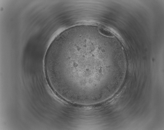 X0000063451283200601271530