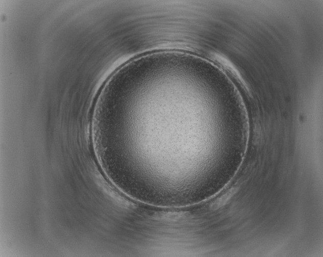 X0000063451284200601271530