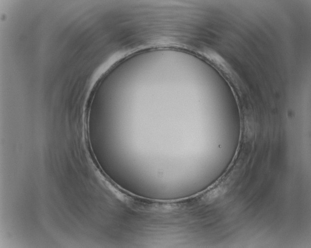 X0000063451286200601271530