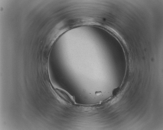 X0000063451289200601271530