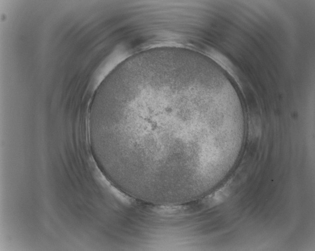 X0000063451290200601271530