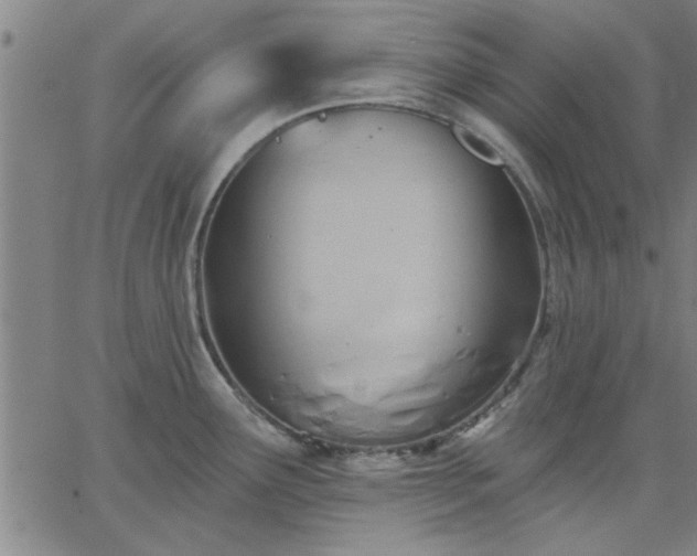 X0000063451291200601271530