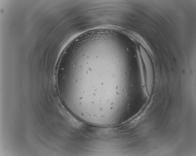 X0000063451292200601271530