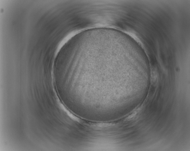 X0000063451294200601271530