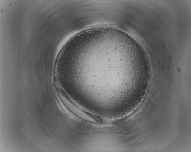 X0000063451296200601271529