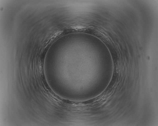 X0000063451298200601271529