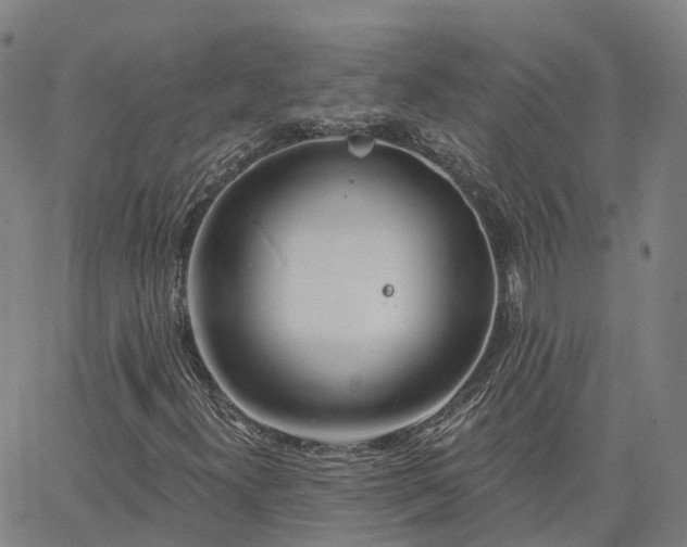 X0000063451300200601271529