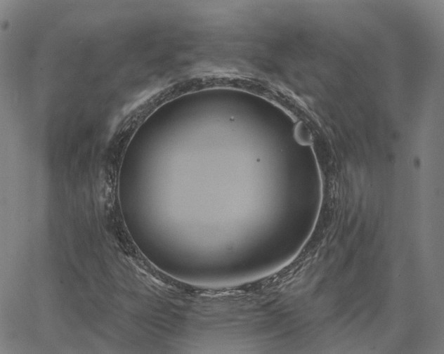 X0000063451303200601271529