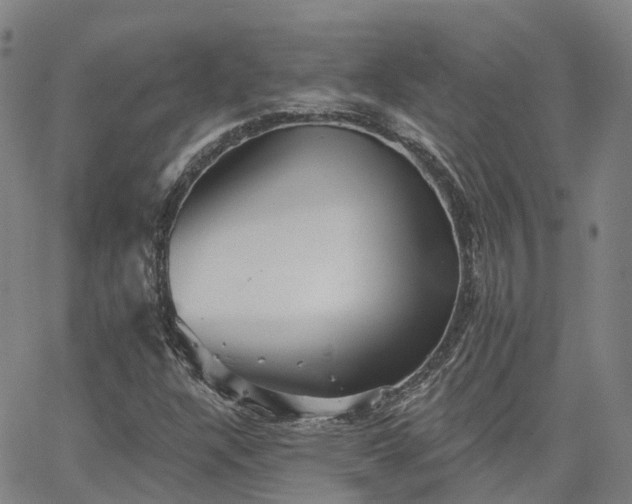 X0000063451304200601271529