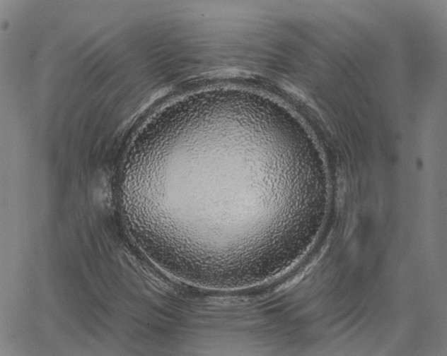 X0000063451305200601271529